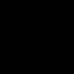 Meet your Posher, Lexi